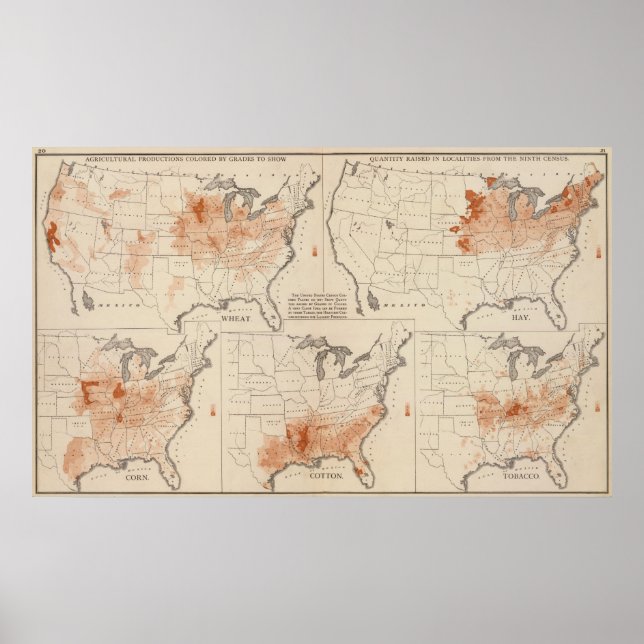 Agricultural Productions in the US Poster (Front)