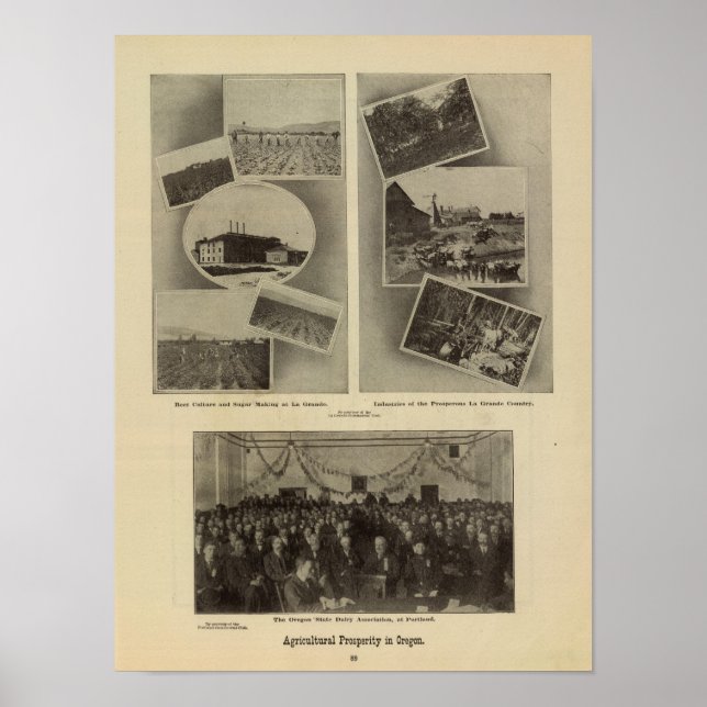 Agricultural prosperity, Oregon Poster (Front)