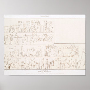 Agricultural work from Histoire de l'art égyptien Poster