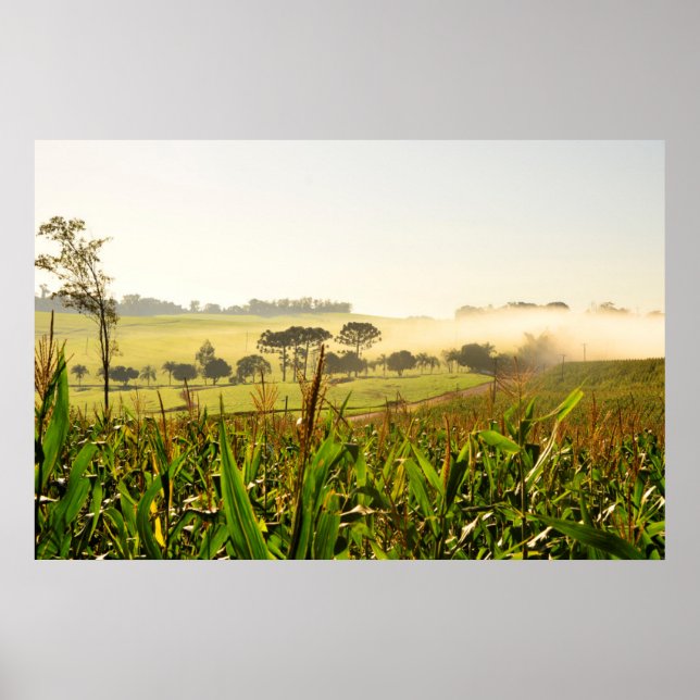 Agriculture Brazil Poster (Front)
