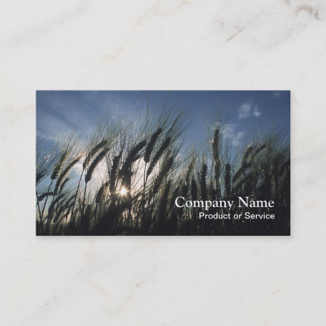 Agriculture business card (Front)