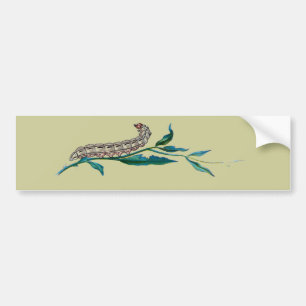 Agrotis pronuba caterpillar bumper sticker