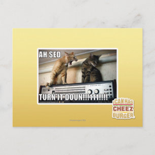 Ah Sed Turn it Down!! Postcard