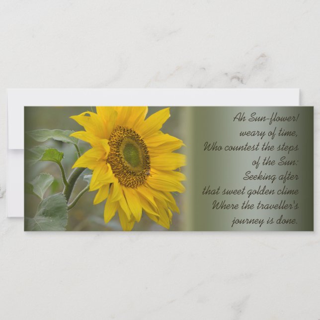 Ah Sun-flower CC0272 Poetry Invitation (Front)