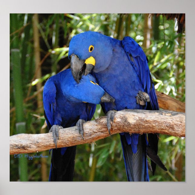 Ahh Right There Poster (Front)