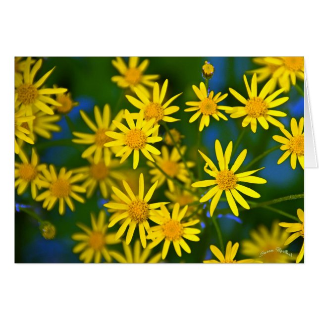 Ahhh, Spring (Front Horizontal)