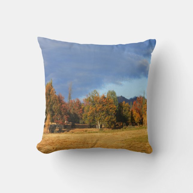 Ahhhh the colours of Fall... Cushion (Front)