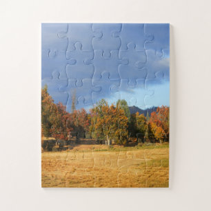 Ahhhh the colours of Fall.... Jigsaw Puzzle