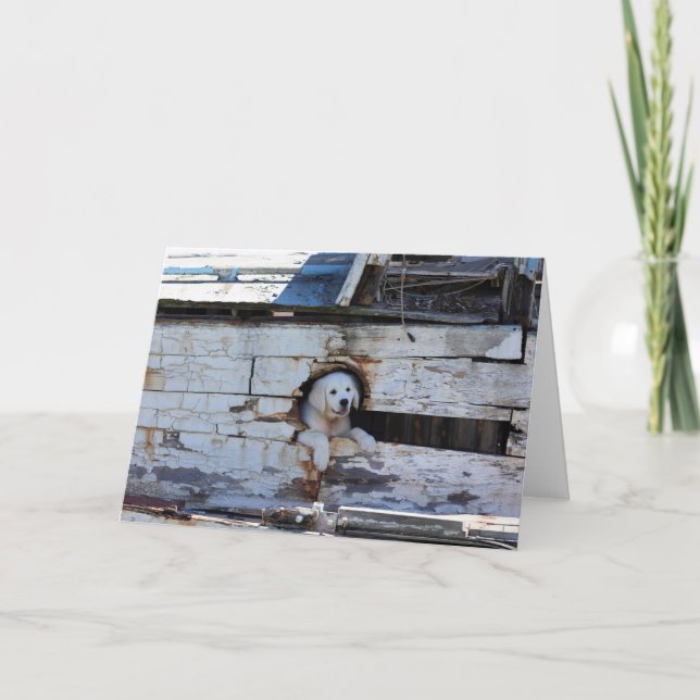 Ahoy Matey Happy Father's Day card (Front)