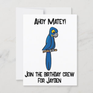Ahoy Matey Pirate Parrot Cartoon, Funny Macaw Bird Postcard