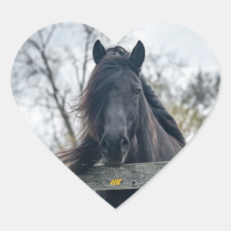 AHT Horse Rescue Heart Sticker