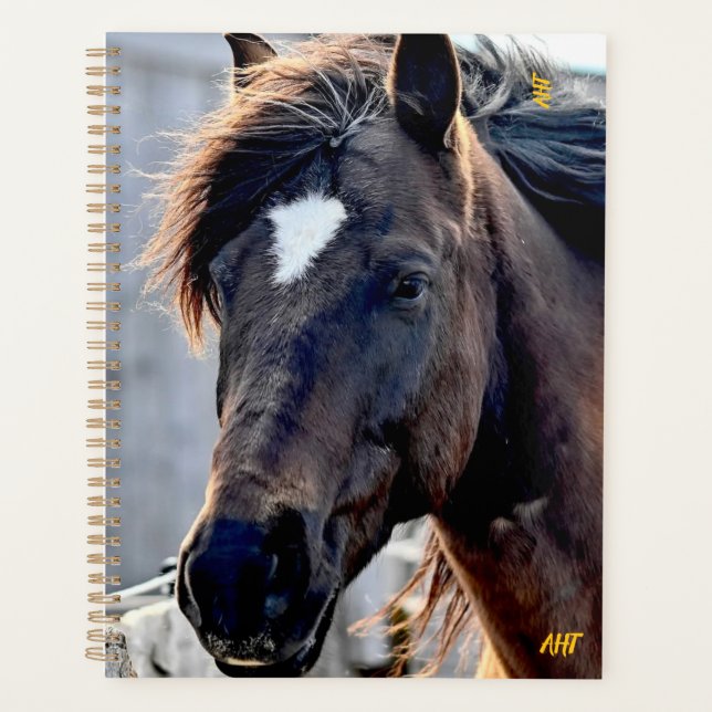AHT Horse Rescue Planner (Front)