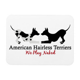 AHT "We Play" Magnet