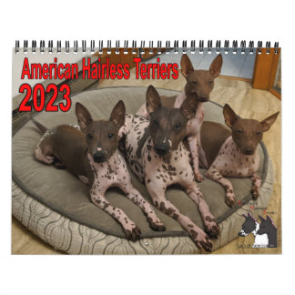AHTCA 2023 American Hairless Terrier Calendar