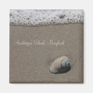 AI Clam Shell Magnet