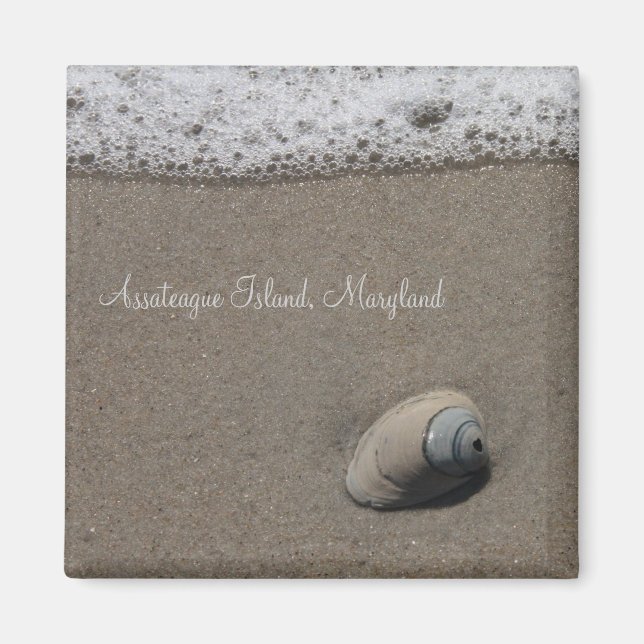 AI Clam Shell Magnet (Front)