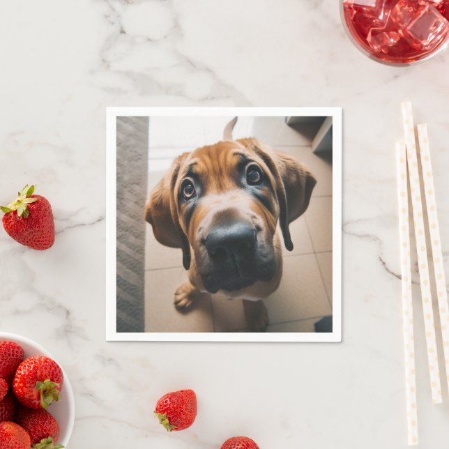 Ai Dog Napkin (Insitu)