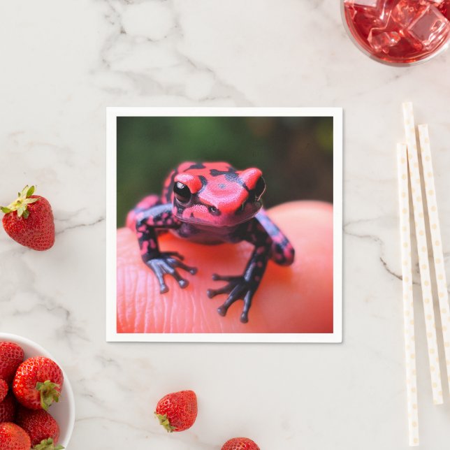 Ai Red Frog Napkin (Insitu)