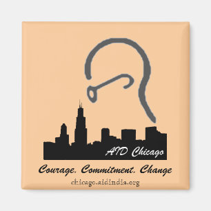 AID Chicago Magnet