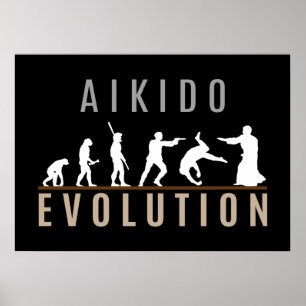 Aikido Evolution Poster
