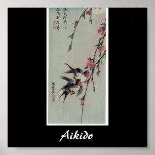 Aikido Japanese Martial Art Poster
