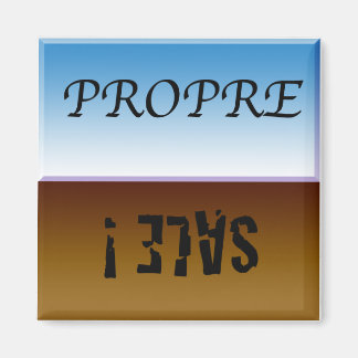 Aimant à lave-vaisselle magnet