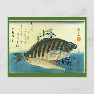 Ainame & Shima-hata - Hiroshige's Japanese Fish Postcard