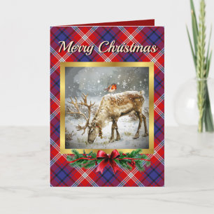 Ainslie Stag & Robin Tartan Personalized  Holiday Card