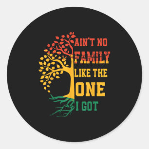 Aint No Family Like The One I Got Family Reunion M Classic Round Sticker