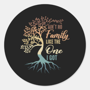 Ain'T No Family Like The One I Got Family Vacation Classic Round Sticker