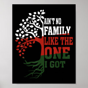 Aint No Family Like The One I Got Matching Family Poster