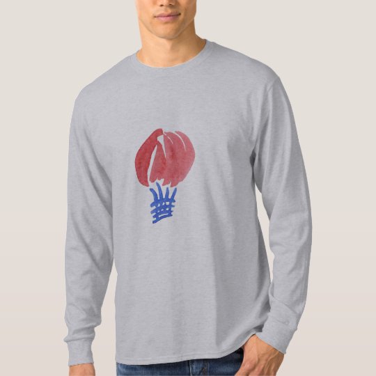 Air Balloon Men's Basic Long Sleeve T-Shirt
