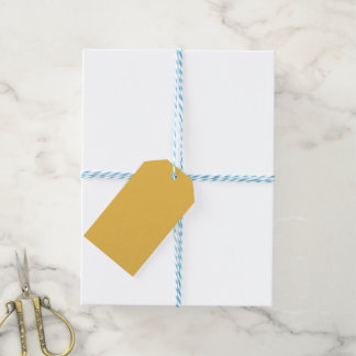 Air Brushed Chicago Skyscrapers Gift Tags
