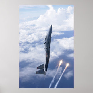 Air Force F-15 Eagle Poster