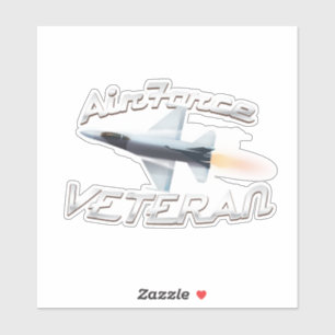 Air Force Veteran