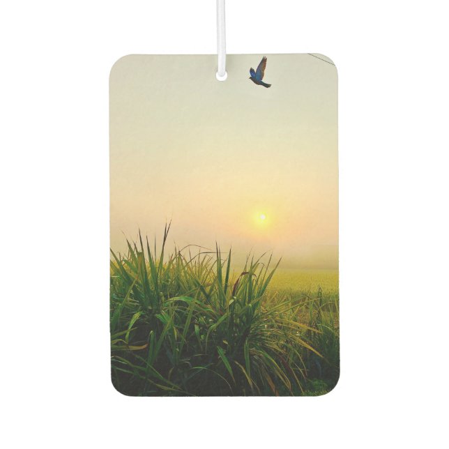 air freshener  (Front)