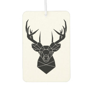 Air fresheners for cars / Air fresheners for cars