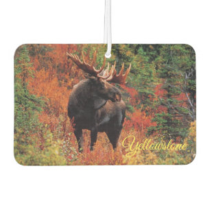 Air Freshner-Yellowstone Moose Car Air Freshener