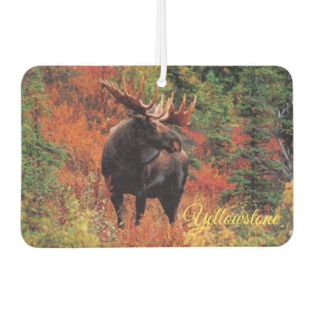 Air Freshner-Yellowstone Moose Car Air Freshener (Front)