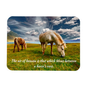 Air of Heaven Horse Quote Magnet