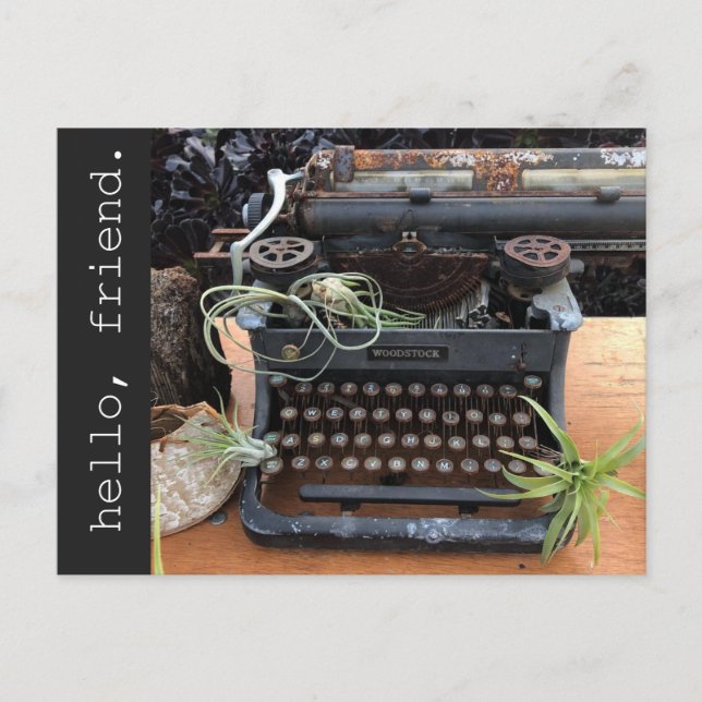 Air Plant Typewriter Postcard (Front)