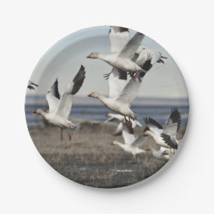Airborne Snow Geese Paper Plate