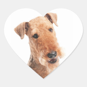 Airdale Terrier Puppy Dog Heart Sticker / Label