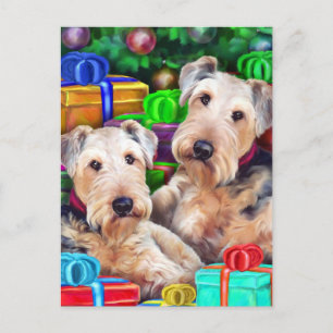 Airedale Christmas Open Now Holiday Postcard