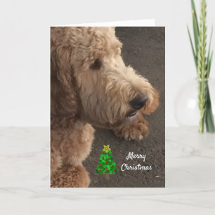 Airedale Dog Christmas Greeting Holiday Card