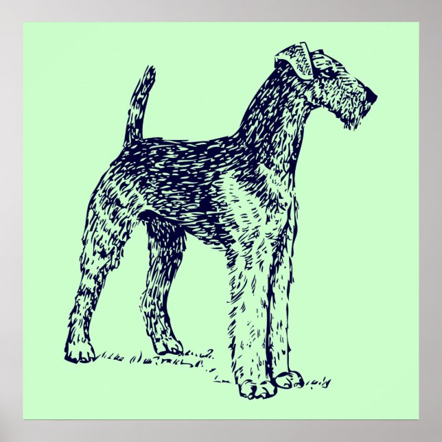 Airedale Dog Poster (Front)
