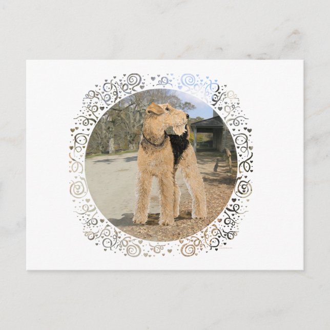 Airedale in the Stable Yard Postcard (Front)