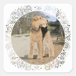 Airedale in the Stable Yard Square Sticker