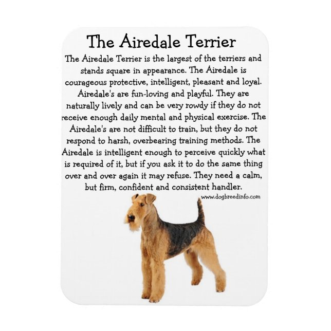 Airedale Info Magnet (Vertical)