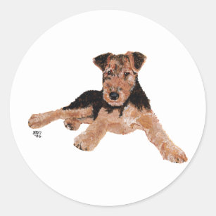 Airedale, Lakeland, Welsh Terrier Pup Classic Round Sticker